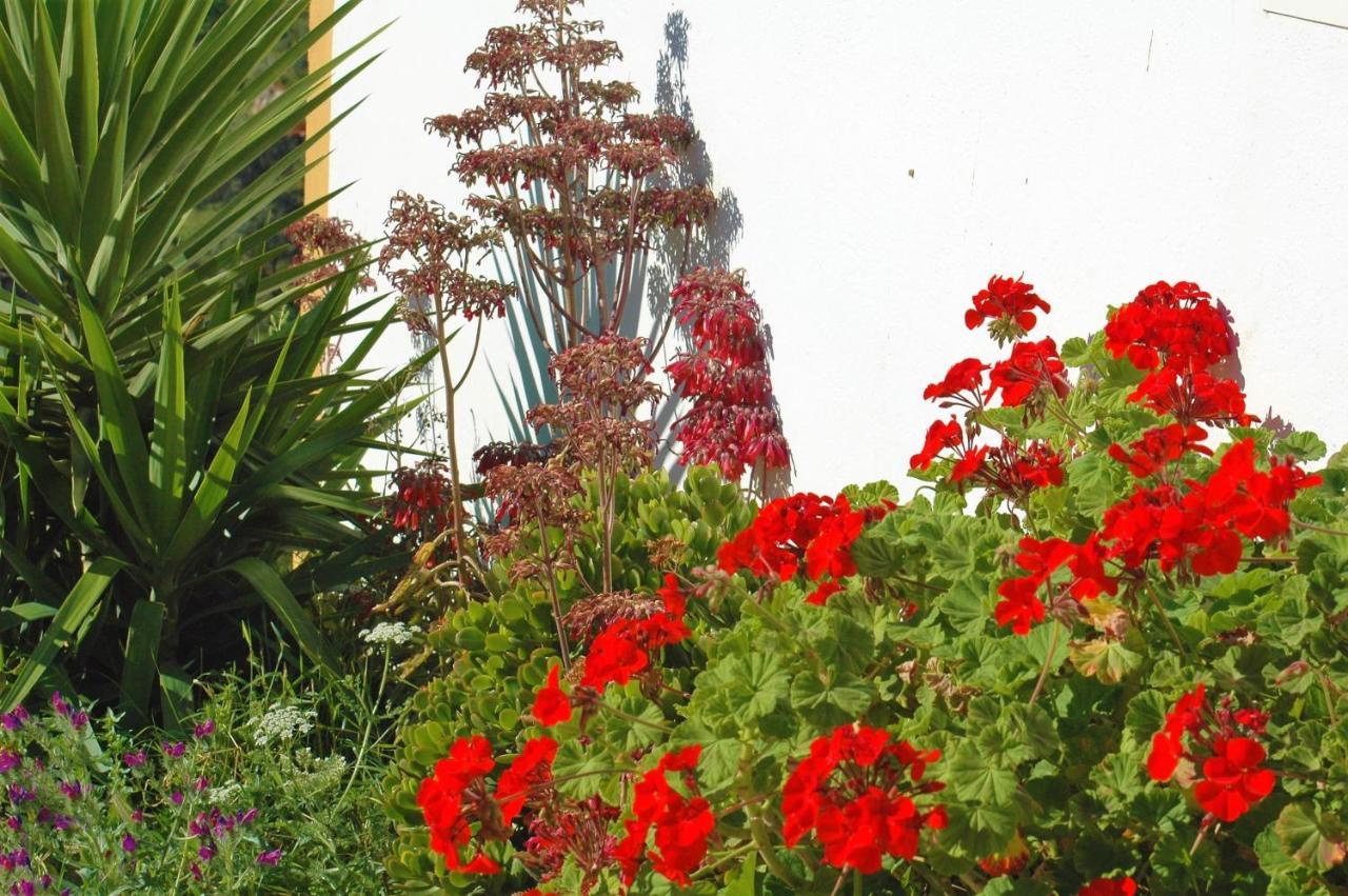 Jingtu Wellness & Spa B&B Comares Exterior photo
